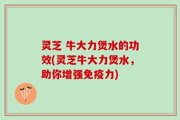 灵芝 牛大力煲水的功效(灵芝牛大力煲水，助你增强免疫力)