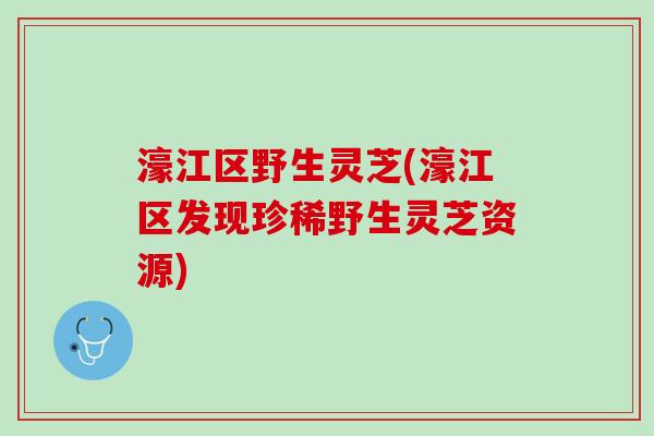濠江区野生灵芝(濠江区发现珍稀野生灵芝资源) 濠江区野生灵芝(濠江区发现珍稀野生灵芝资源)