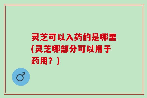 灵芝可以入药的是哪里(灵芝哪部分可以用于药用？)