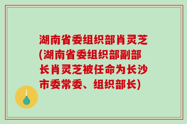 湖南省委组织部肖灵芝(湖南省委组织部副部长肖灵芝被任命为长沙市委常委、组织部长)