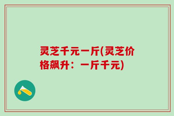灵芝千元一斤(灵芝价格飙升：一斤千元)