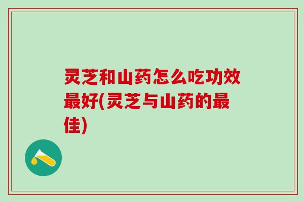 灵芝和山药怎么吃功效最好(灵芝与山药的最佳)