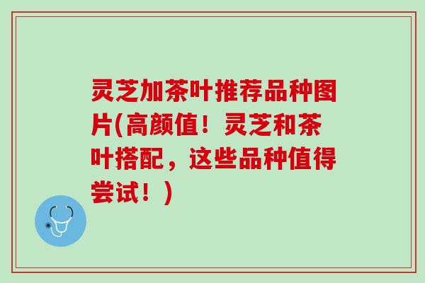 灵芝加茶叶推荐品种图片(高颜值！灵芝和茶叶搭配，这些品种值得尝试！)
