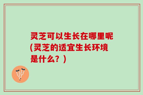 灵芝可以生长在哪里呢(灵芝的适宜生长环境是什么?) 灵芝可以生长在哪里呢(灵芝的适宜生长环境是什么?)