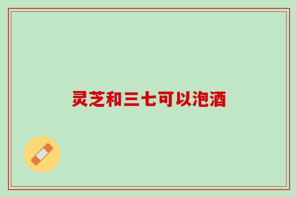 灵芝和三七可以泡酒