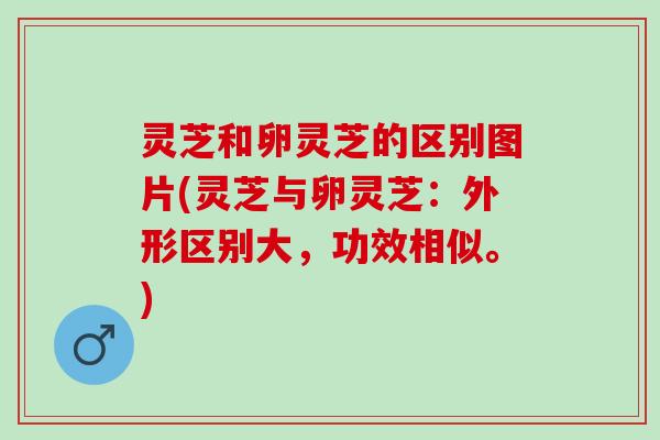 灵芝和卵灵芝的区别图片(灵芝与卵灵芝：外形区别大，功效相似。)