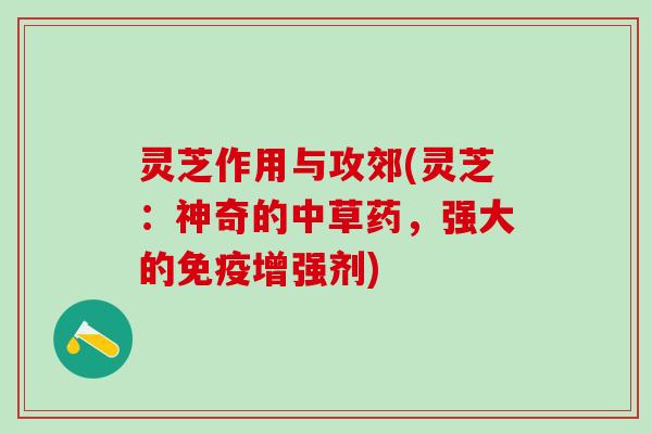 灵芝作用与攻郊(灵芝：神奇的中草药，强大的免疫增强剂)