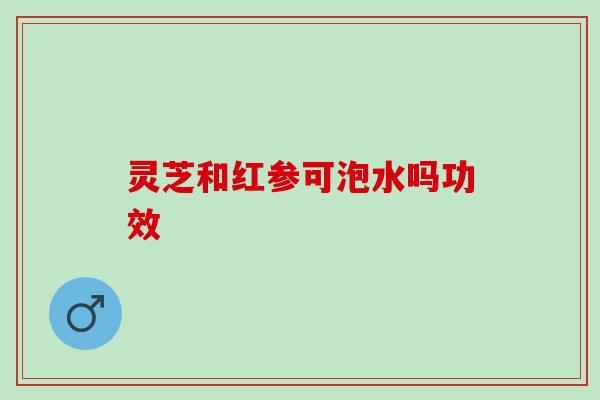 灵芝和红参可泡水吗功效