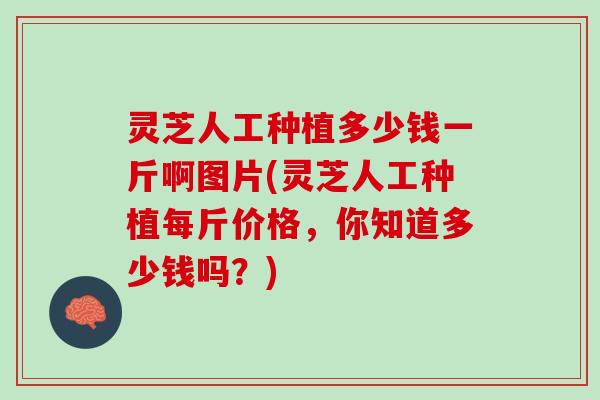 灵芝人工种植多少钱一斤啊图片(灵芝人工种植每斤价格,你知道多少钱吗?) 灵芝人工种植多少钱一斤啊图片(灵芝人工种植每斤价格,你知道多少钱吗?)