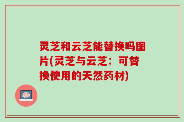 灵芝和云芝能替换吗图片(灵芝与云芝：可替换使用的天然药材)