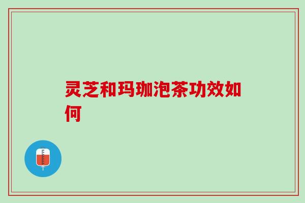 灵芝和玛珈泡茶功效如何
