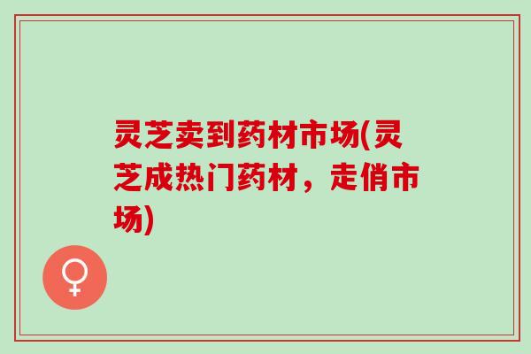 灵芝卖到药材市场(灵芝成热门药材，走俏市场)