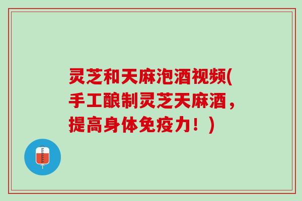 灵芝和天麻泡酒视频(手工酿制灵芝天麻酒，提高身体免疫力！)