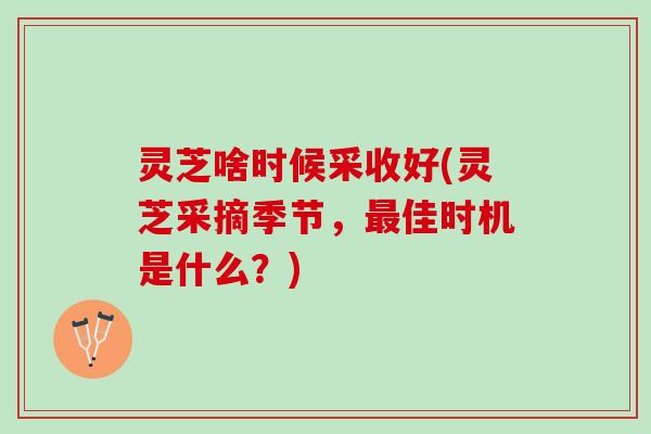 灵芝啥时候采收好(灵芝采摘季节，佳时机是什么？)