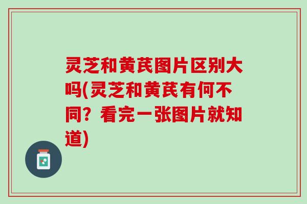 灵芝和黄芪图片区别大吗(灵芝和黄芪有何不同？看完一张图片就知道)