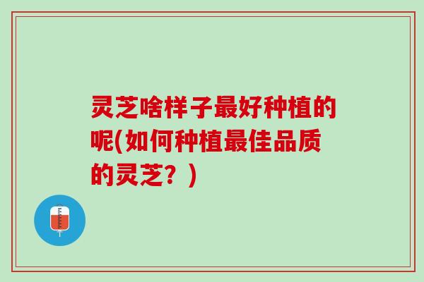 灵芝啥样子好种植的呢(如何种植佳品质的灵芝?) 灵芝啥样子好种植的呢(如何种植佳品质的灵芝?)