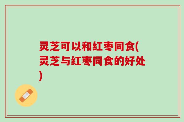 灵芝可以和红枣同食(灵芝与红枣同食的好处)