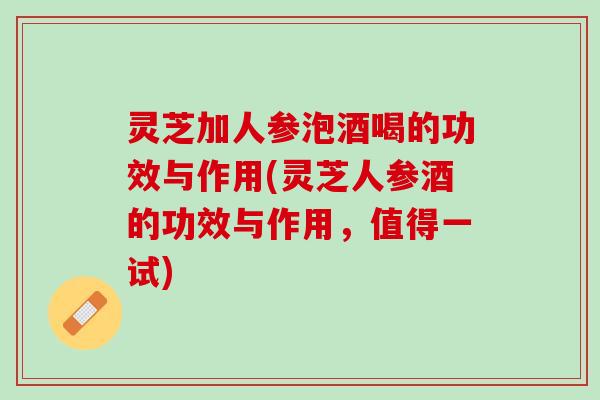 灵芝加人参泡酒喝的功效与作用(灵芝人参酒的功效与作用，值得一试)
