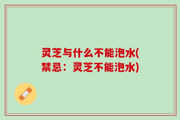 灵芝与什么不能泡水(禁忌：灵芝不能泡水)