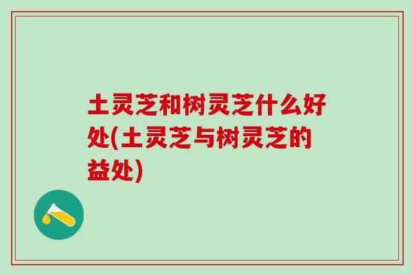 土灵芝和树灵芝什么好处(土灵芝与树灵芝的益处)