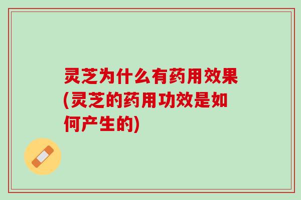 灵芝为什么有药用效果(灵芝的药用功效是如何产生的) 灵芝为什么有药用效果(灵芝的药用功效是如何产生的)