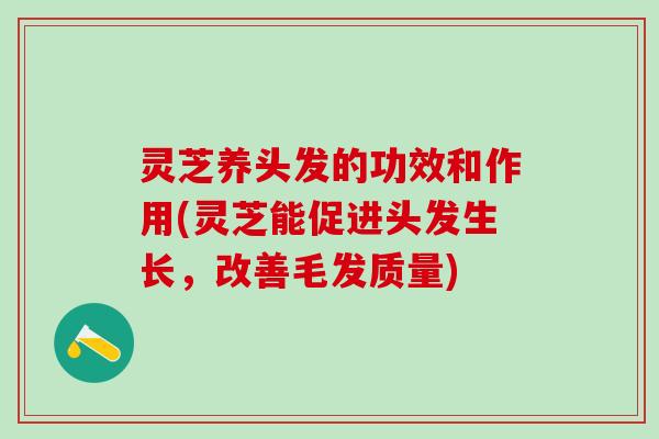灵芝养头发的功效和作用(灵芝能促进头发生长，改善毛发质量)