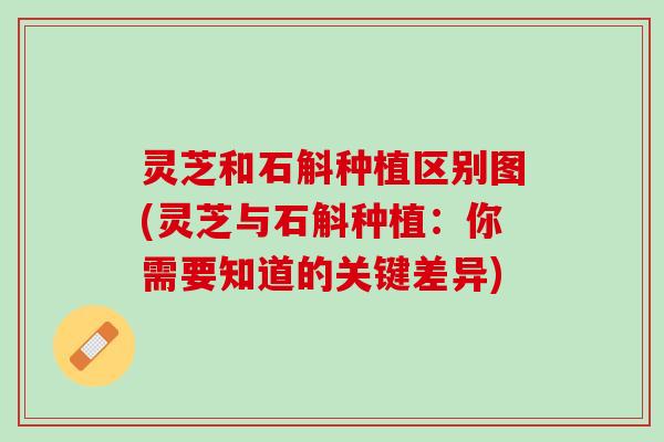 灵芝和石斛种植区别图(灵芝与石斛种植：你需要知道的关键差异)
