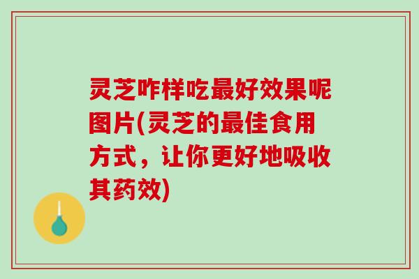 灵芝咋样吃最好效果呢图片(灵芝的最佳食用方式，让你更好地吸收其药效)