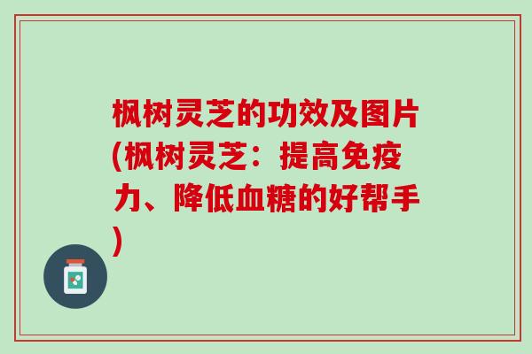 枫树灵芝的功效及图片(枫树灵芝：提高免疫力、降低血糖的好帮手)