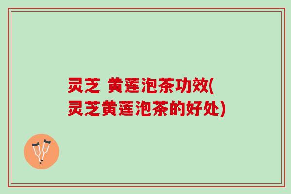 灵芝 黄莲泡茶功效(灵芝黄莲泡茶的好处)