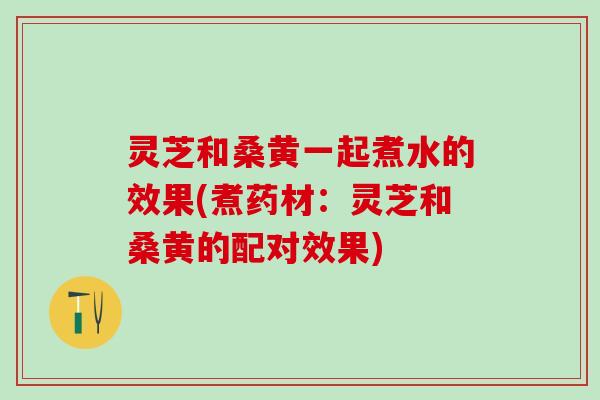 灵芝和桑黄一起煮水的效果(煮药材：灵芝和桑黄的配对效果)