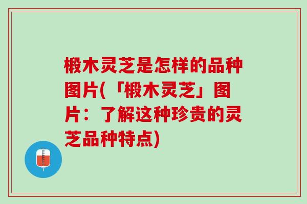 椴木灵芝是怎样的品种图片(「椴木灵芝」图片：了解这种珍贵的灵芝品种特点)