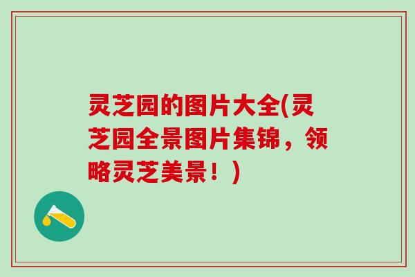 灵芝园的图片大全(灵芝园全景图片集锦，领略灵芝美景！)