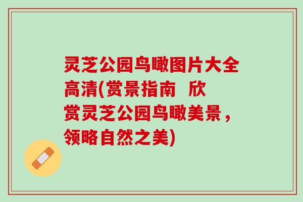 灵芝公园鸟瞰图片大全高清(赏景指南  欣赏灵芝公园鸟瞰美景，领略自然之美)
