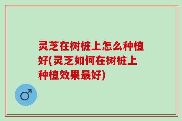 灵芝在树桩上怎么种植好(灵芝如何在树桩上种植效果好) 灵芝在树桩上怎么种植好(灵芝如何在树桩上种植效果好)