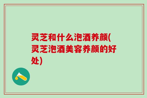 灵芝和什么泡酒养颜(灵芝泡酒美容养颜的好处)