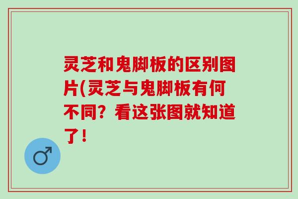 灵芝和鬼脚板的区别图片(灵芝与鬼脚板有何不同?看这张图就知道了! 灵芝和鬼脚板的区别图片(灵芝与鬼脚板有何不同?看这张图就知道了!