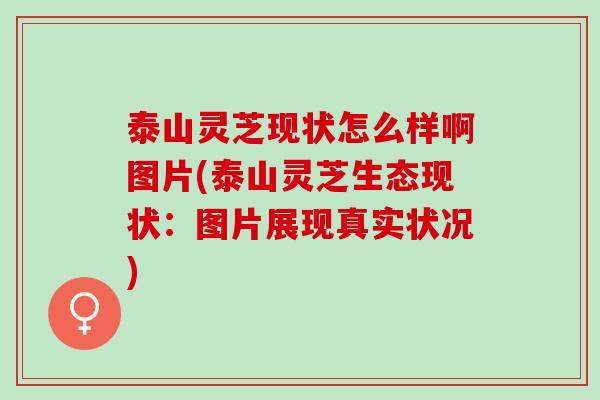 泰山灵芝现状怎么样啊图片(泰山灵芝生态现状：图片展现真实状况)
