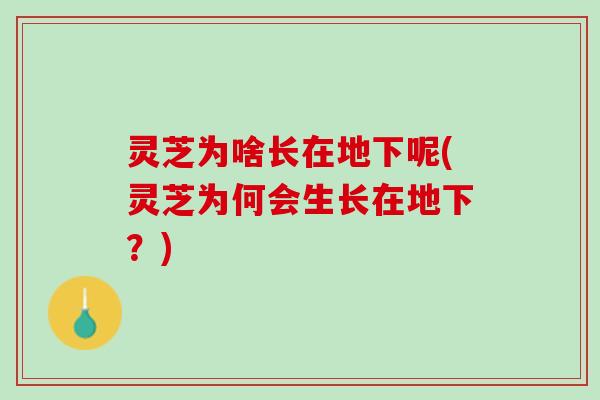 灵芝为啥长在地下呢(灵芝为何会生长在地下？)