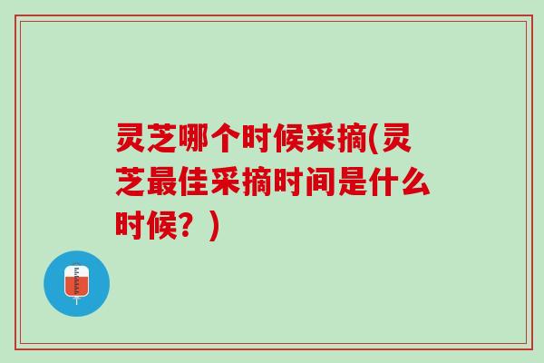 灵芝哪个时候采摘(灵芝最佳采摘时间是什么时候？)