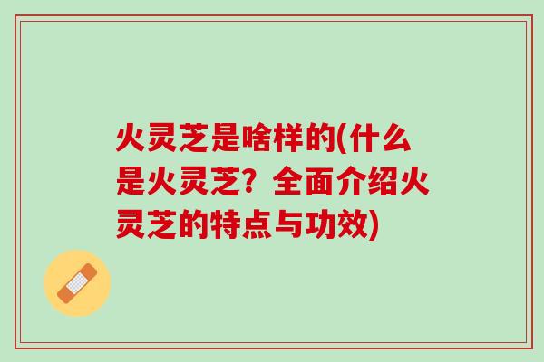 火灵芝是啥样的(什么是火灵芝？全面介绍火灵芝的特点与功效)