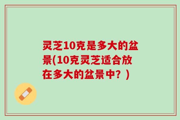 灵芝10克是多大的盆景(10克灵芝适合放在多大的盆景中？)