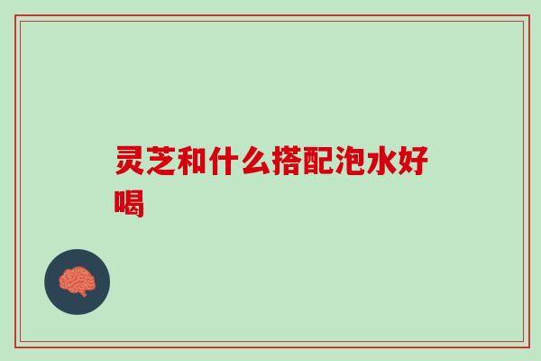 灵芝和什么搭配泡水好喝