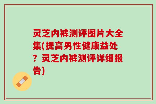 灵芝内裤测评图片大全集(提高男性健康益处？灵芝内裤测评详细报告)