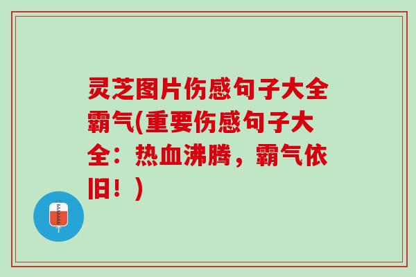 灵芝图片伤感句子大全霸气(重要伤感句子大全:热沸腾,霸气依旧!) 灵芝图片伤感句子大全霸气(重要伤感句子大全:热沸腾,霸气依旧!)