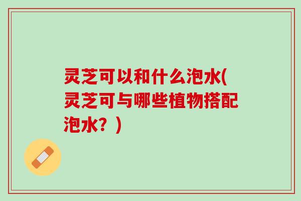 灵芝可以和什么泡水(灵芝可与哪些植物搭配泡水？)