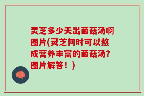 灵芝多少天出菌菇汤啊图片(灵芝何时可以熬成营养丰富的菌菇汤？图片解答！)