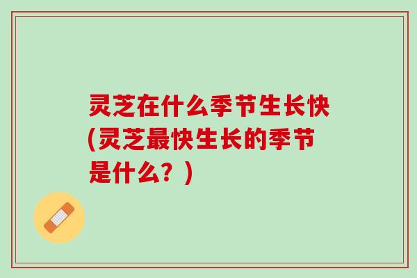 灵芝在什么季节生长快(灵芝最快生长的季节是什么？)