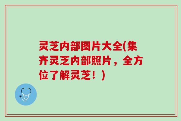 灵芝内部图片大全(集齐灵芝内部照片,全方位了解灵芝!) 灵芝内部图片大全(集齐灵芝内部照片,全方位了解灵芝!)
