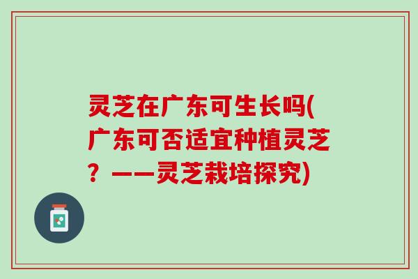 灵芝在广东可生长吗(广东可否适宜种植灵芝？——灵芝栽培探究)